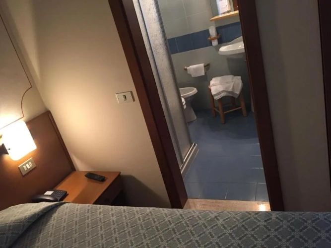 Standard Double room with balcony and with view