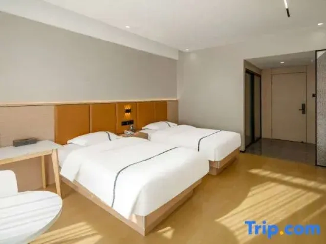 Standard Twin room with city view