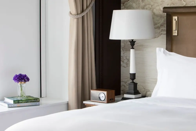 Double Club Suite with park view
