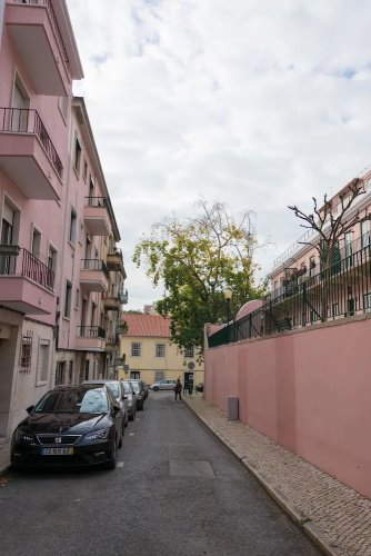 The Mulberry Tree Lisbon Hostel