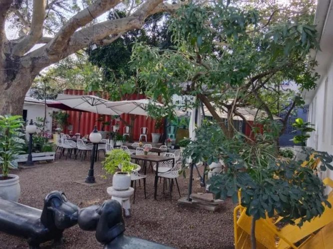 Standard Double room with courtyard view