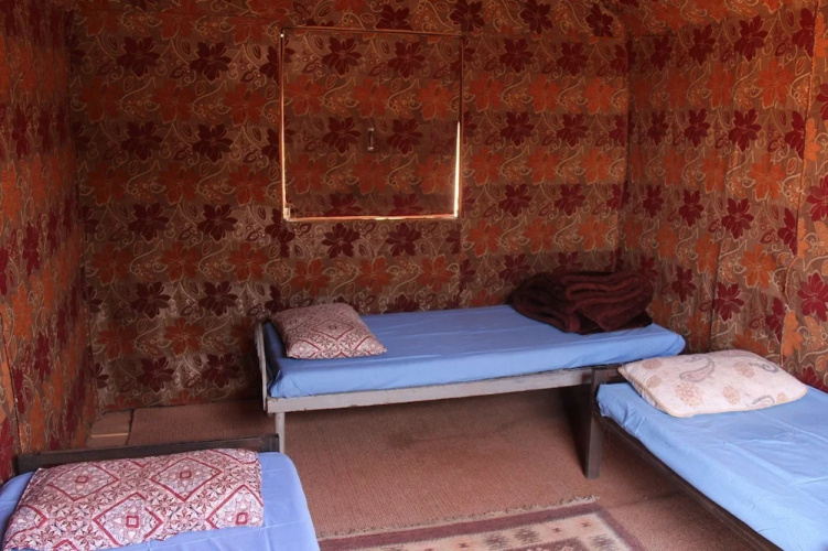 Wadi Rum Protected Area Camp