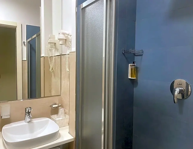 Standard Double room with balcony and with sea view