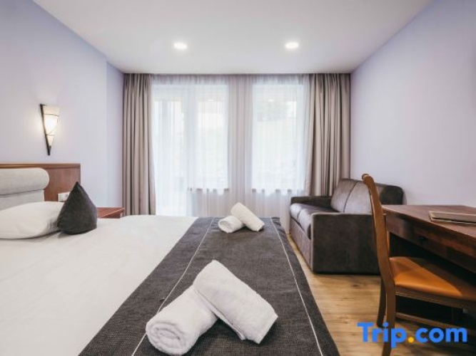 1 Bedroom Standard Double room with balcony and with city view