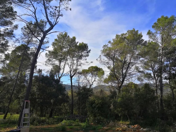 Yourte en Provence