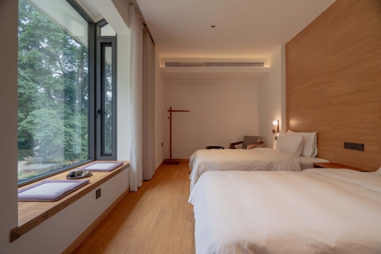 Standard Twin room with balcony and with mountain view