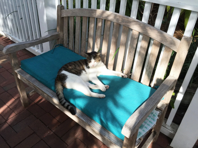 Ella's Cottages - Key West Historic Inns