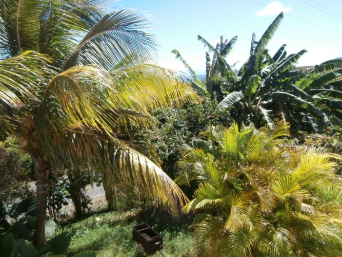 Villa Alizea