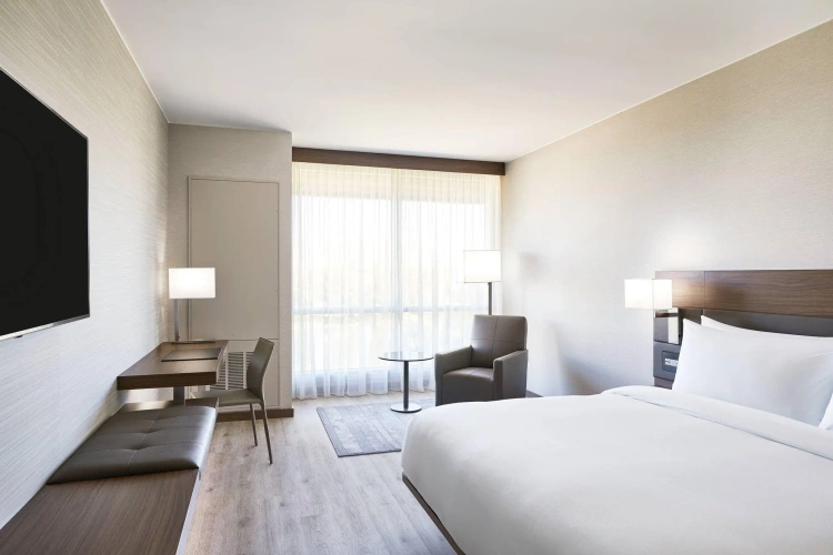 Standard Double room with mountain view