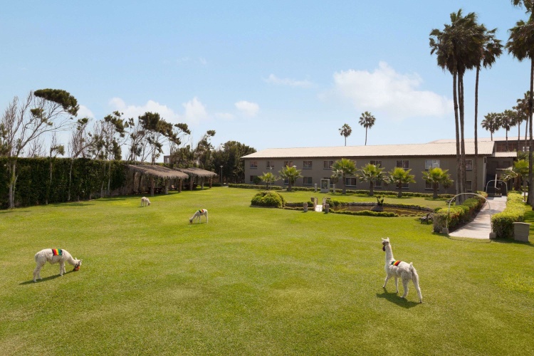Wyndham Costa del Sol Trujillo photo 15