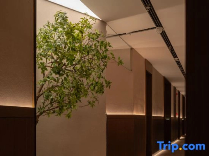 Mossland Hotel