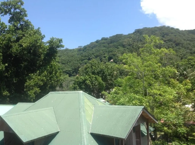 Standard Double room with mountain view