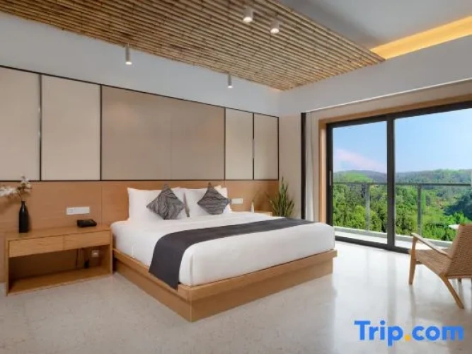 1 Bedroom Suite