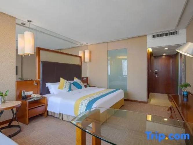 Standard Single room with view