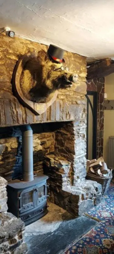Whod Have Thought It Inn