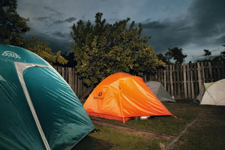 Yellow Plum Tent House