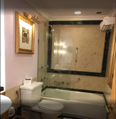 Deluxe Double room with balcony and with garden view
