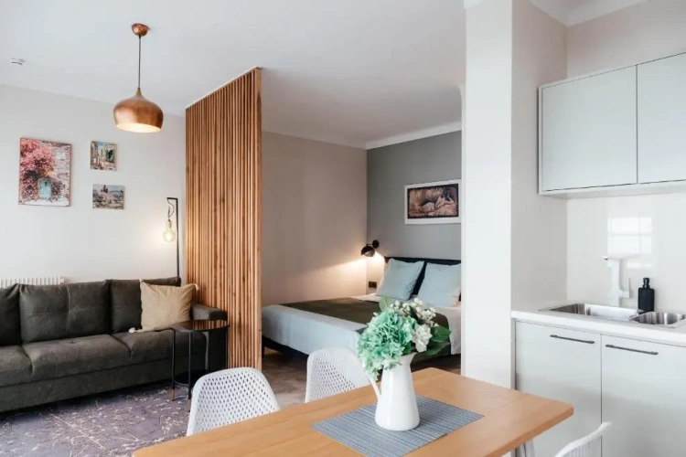 1 Bedroom Apartment