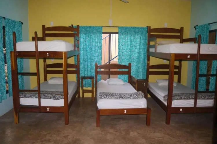 Bed in Dorm