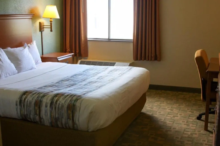 Standard room with view