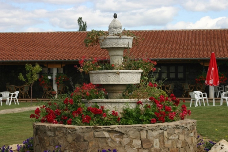 Del Pozo