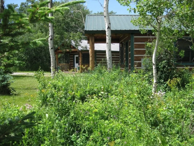 Standard Double room with mountain view