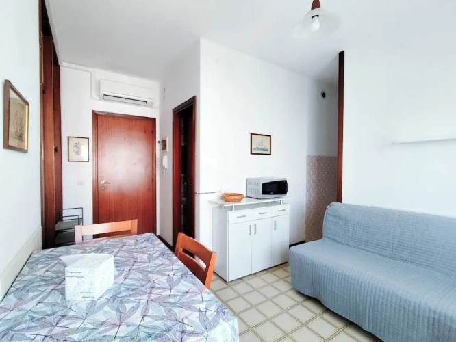 1 Bedroom Apartment with balcony and with city view