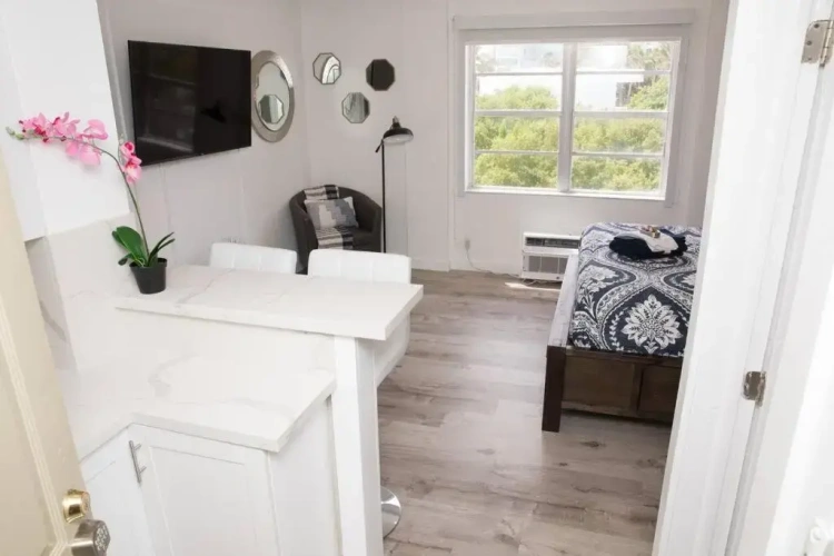 1 Bedroom Apartment