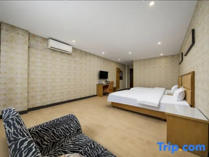 Deluxe Twin room with city view