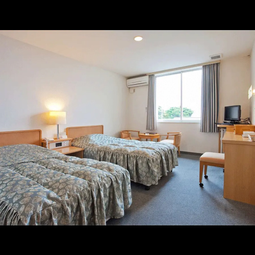 Standard Twin room with ocean view