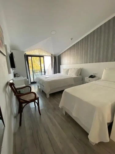 Standard Double room with balcony and with sea view