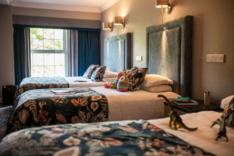 Falls Hotel & Spa