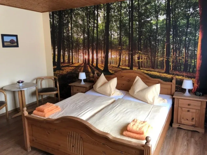 Standard Double room