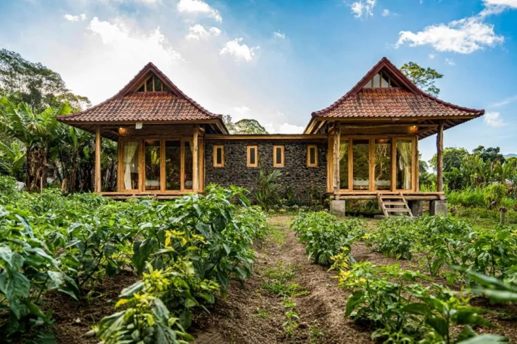 Standard Double Bungalow