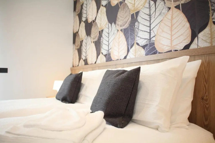 Deluxe Double room with garden view