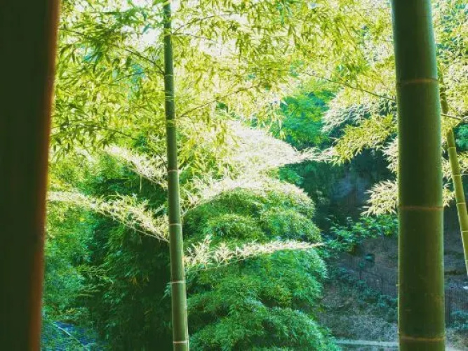 Changsha Nanting Shiguang Homestay