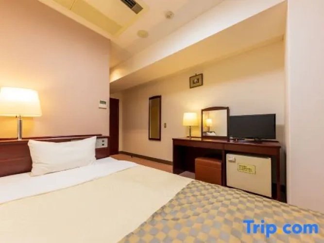Standard Single room with city view