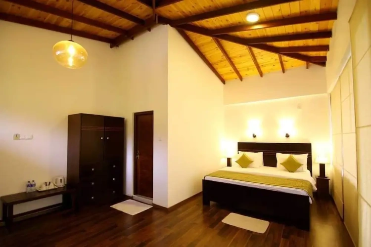 Deluxe Double room with view