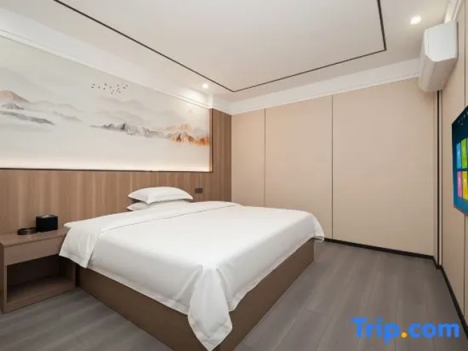 1 Bedroom Premier Suite
