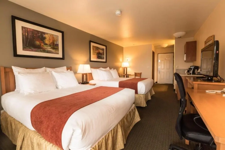Standard Double room