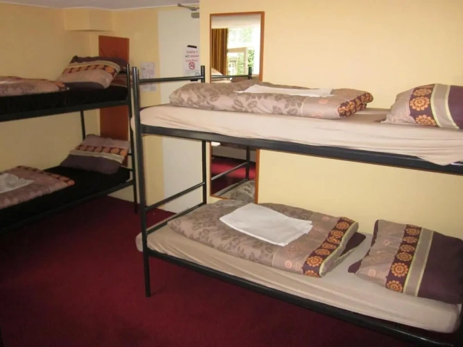 Bed in Dorm