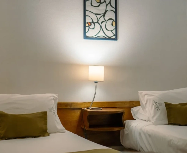 Basic Twin room