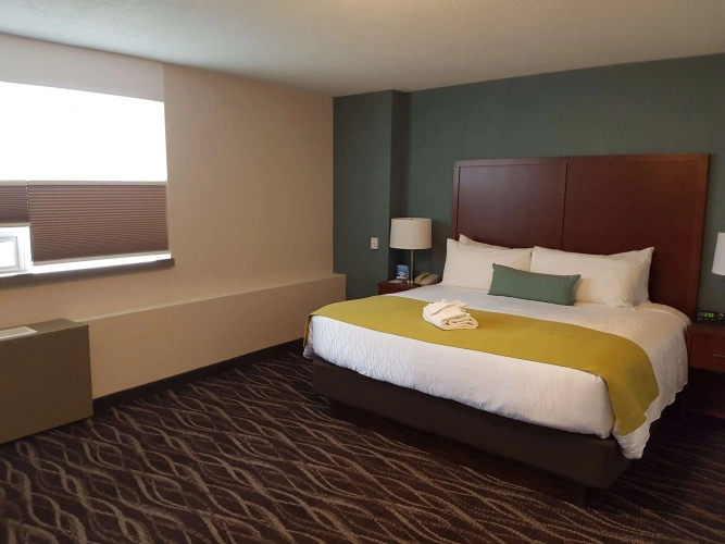 Standard Double room