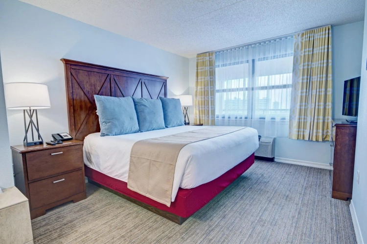 1 Bedroom Suite
