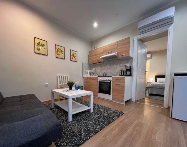 1 Bedroom Standard Basement Apartment