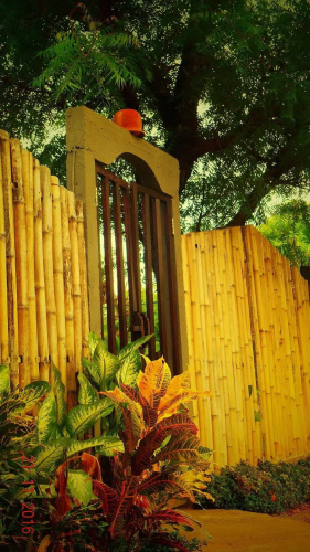 The Local Menjangan