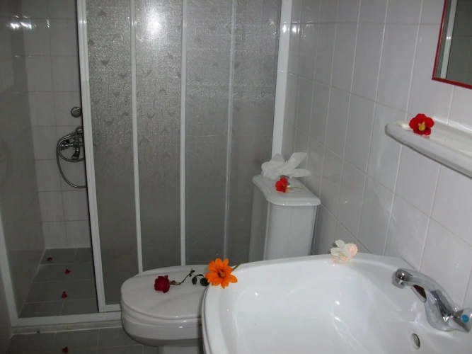 Standard Double room with balcony and with pool view