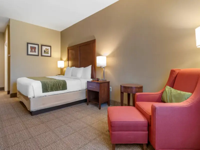Twin Suite