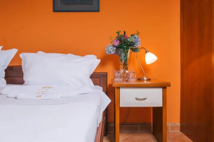 Standard Double room with balcony and with view