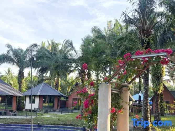 Nature Resort